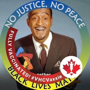 Meet your Posher, Sammy